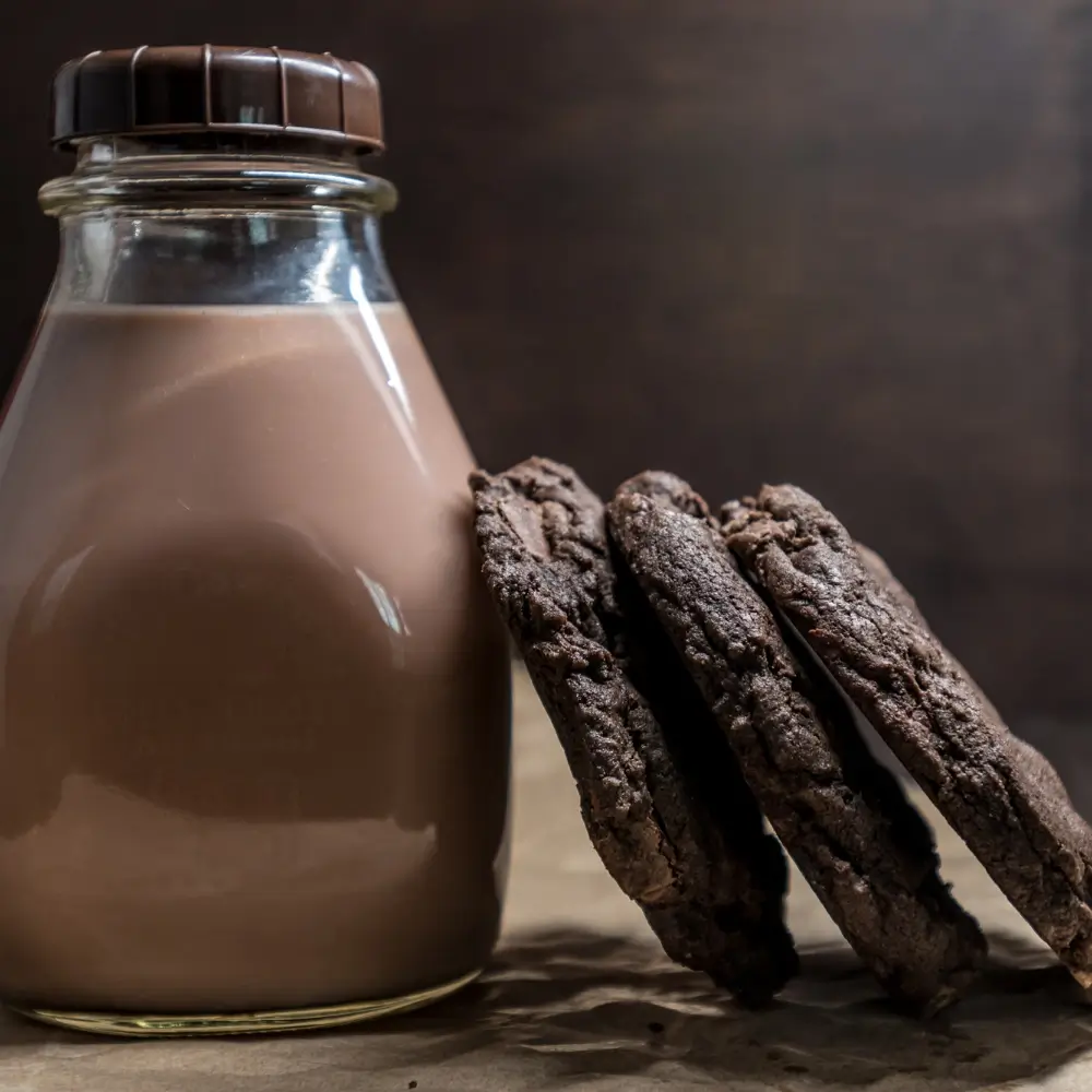 A plate of double chocolate cookies, rich and chewy with gooey chocolate chunks, perfect for chocolate lovers.