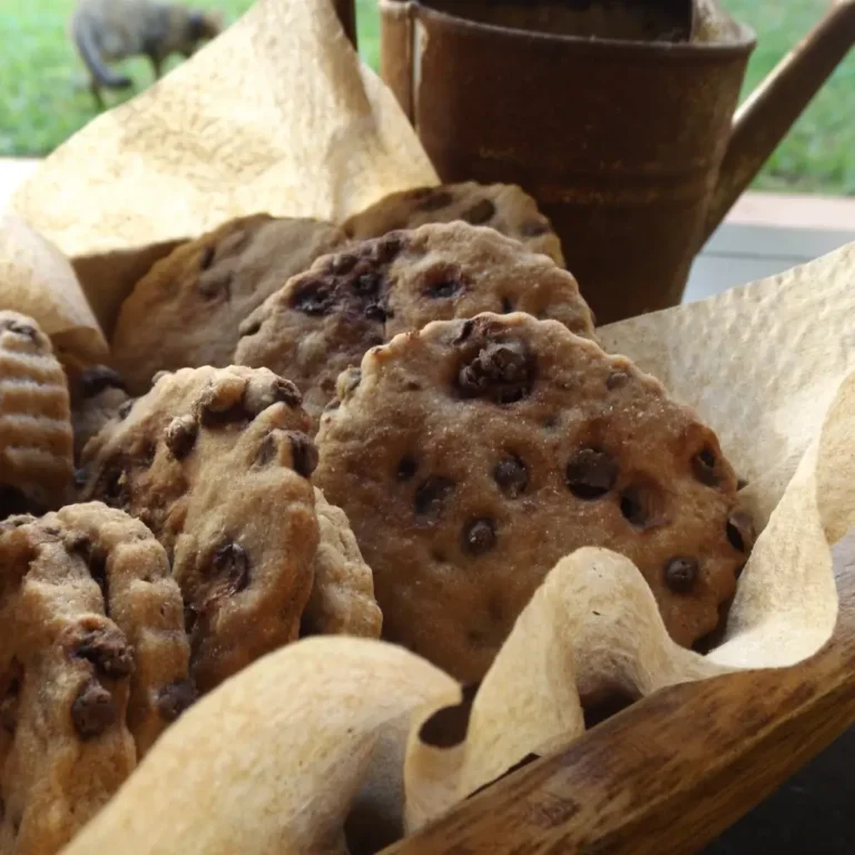 Nestle Chocolate Chip Cookie Recipe